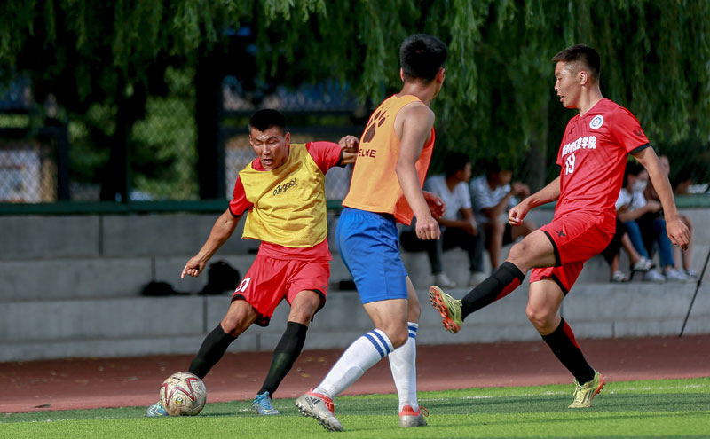 欧冠赛前穆里尼奥与两名昔日弟子重逢，并亲吻了斯内德的光头（欧冠赛前，穆里尼奥与两位旧将相聚，并亲吻斯内德的光头）